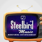 Steelbird Tv